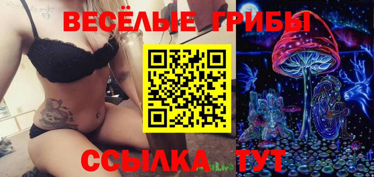 Псилоцибиновые грибы MAGIC MUSHROOMS Барнаул