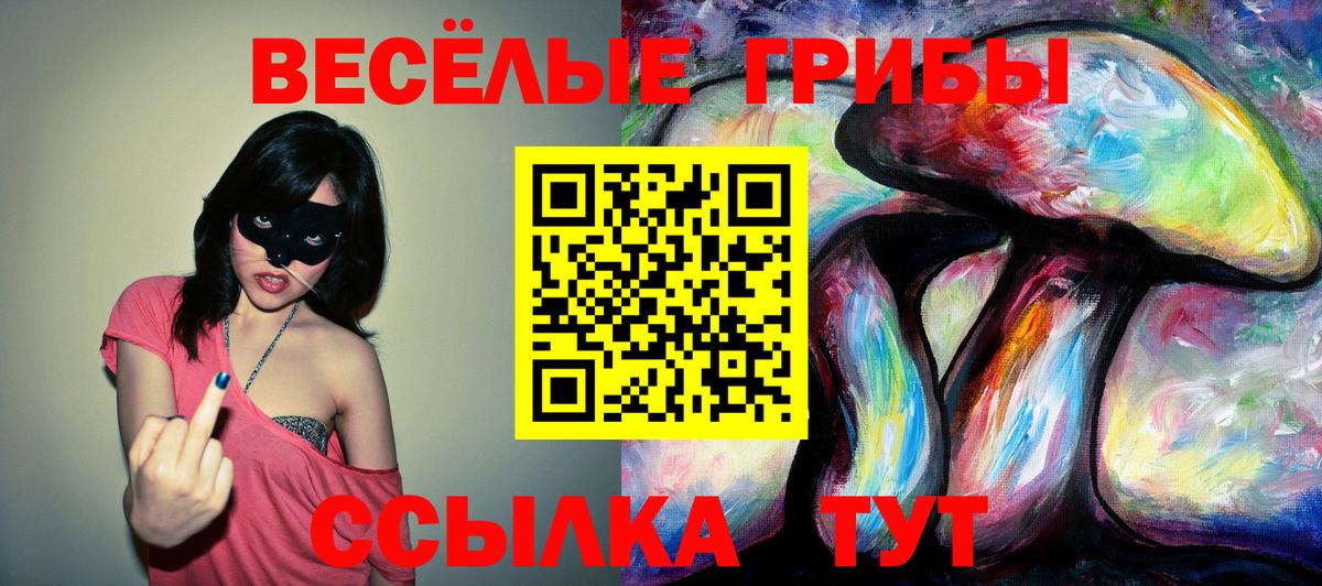 Псилоцибиновые грибы ЛСД  где продают наркотики  Вход с VPN  Барнаул  Псилоцибиновые грибы мицелий 