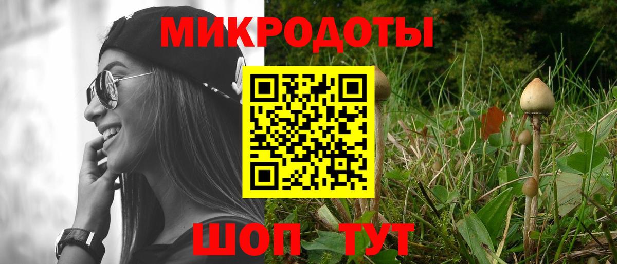 Галлюциногенные грибы прущие грибы Барнаул