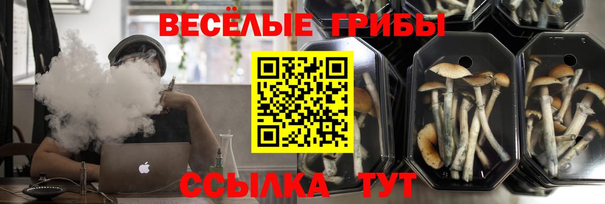 Псилоцибиновые грибы мицелий  Псилоцибиновые грибы Psilocybe  Барнаул  где купить   Вход с VPN 